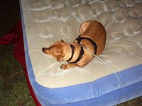 photos 2000-200902878